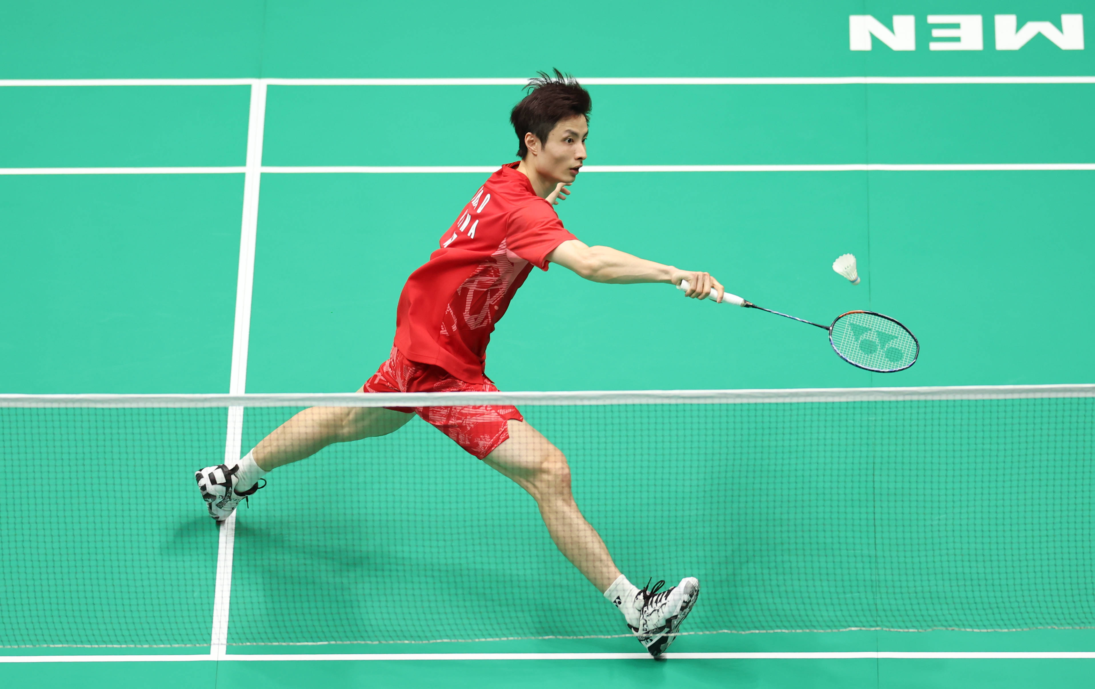 根廷的右后 根廷的右后